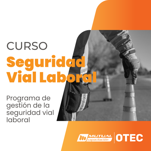 Programa de gestión de la seguridad vial laboral