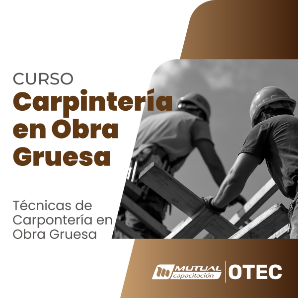Técnicas de Carpintería en Obra Gruesa